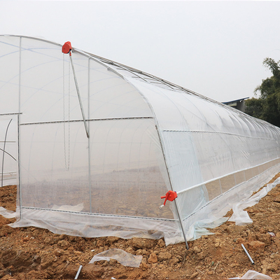 Jednoprzęsłowa plastikowa szklarnia tunelowa Komercyjna rolna