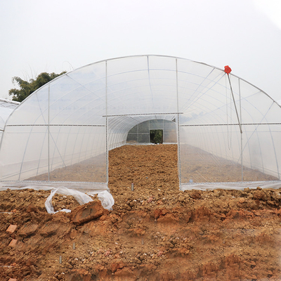 8m 9m szerokości Jednoprzęsłowy pionowy tunel Plastikowa szklarnia do uprawy roślin