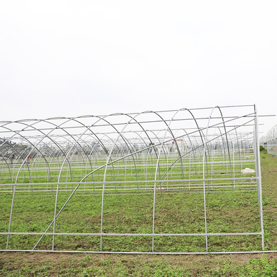 Folia przeciwstarzeniowa Micron Anti Uv Plastikowa szklarnia Rolnictwo Sadzenie warzyw