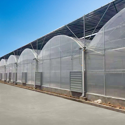 Poly Film Multi Span Greenhouse z Rolling Benches Seeding Nursery Wentylacja