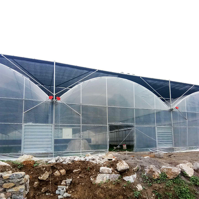 Poly Film Multi Span Greenhouse z Rolling Benches Seeding Nursery Wentylacja