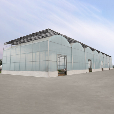 Rolnictwo System hydroponiczny High Tunnel Greenhouse Folia UV Multi Span