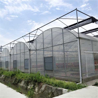 Wewnętrzny system cieniowania Multi Span Greenhouse Automatic Commercial dla silnego wiatru