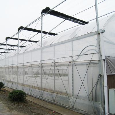 Sunlight High Double Arch Multi Span Greenhouse do sadzenia warzyw
