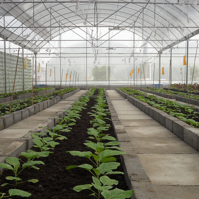 Stal ocynkowana na gorąco Hydroponic Tomato Multi Span Greenhouse Outdoor Farming