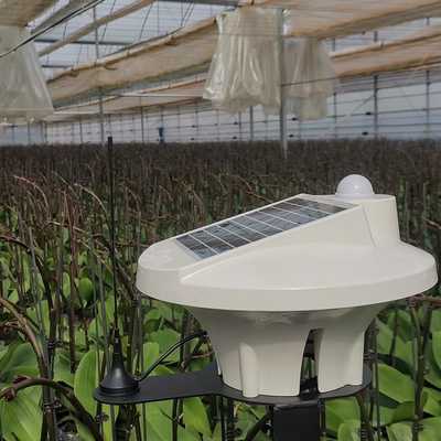 Rolniczy system uprawy Folia z tworzywa sztucznego Multi Span Greenhouse do uprawy