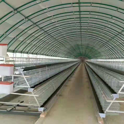 Poly Tunnel Greenhouse Farma drobiu dla kurczaków owiec
