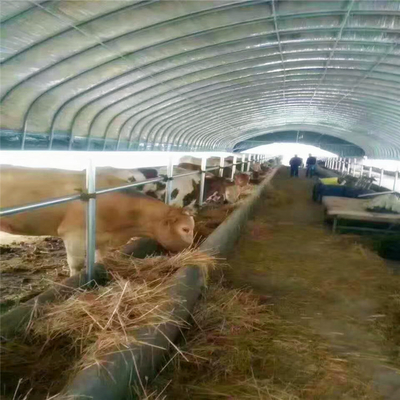 Poly Tunnel Greenhouse Farma drobiu dla kurczaków owiec