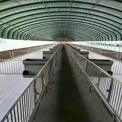 Kurczak Poly Tunnel cieplarnianych dla drobiu hodowlanego i hodowli drobiu