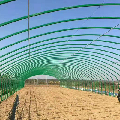 Kurczak Poly Tunnel cieplarnianych dla drobiu hodowlanego i hodowli drobiu