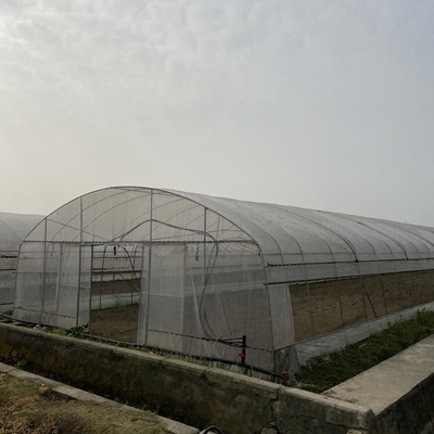 Rura łukowa 48 mm 150 mikronów Rolnictwo Pokryta folią z tworzywa sztucznego Pojedynczy tunel z folii polietylenowej Szklarnia